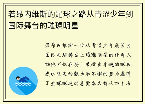 若昂内维斯的足球之路从青涩少年到国际舞台的璀璨明星